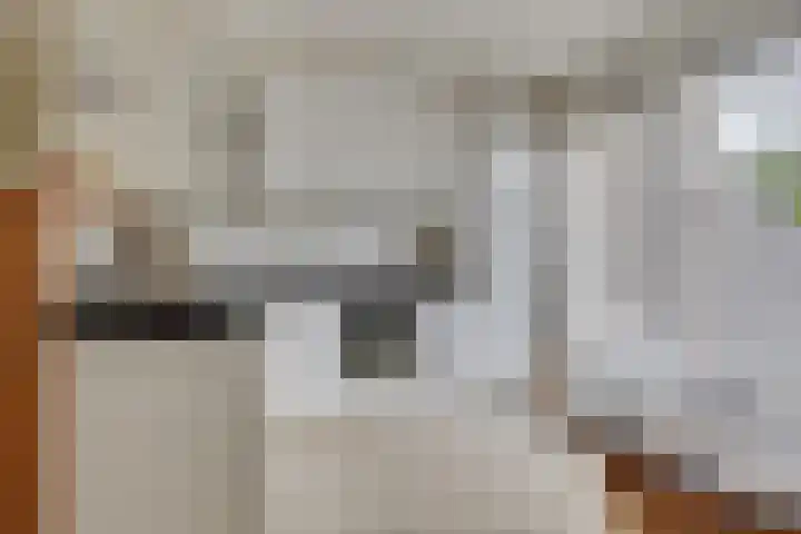 Galicië 22 Leusden thumbnail 15