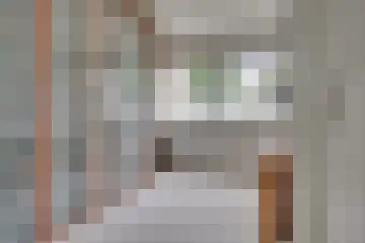 Galicië 22 Leusden thumbnail 21