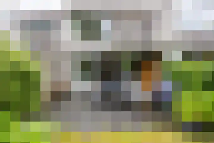Galicië 22 Leusden thumbnail 31