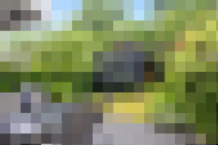 Galicië 22 Leusden thumbnail 34