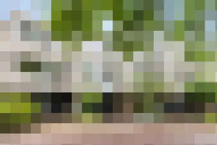 Galicië 22 Leusden thumbnail 42