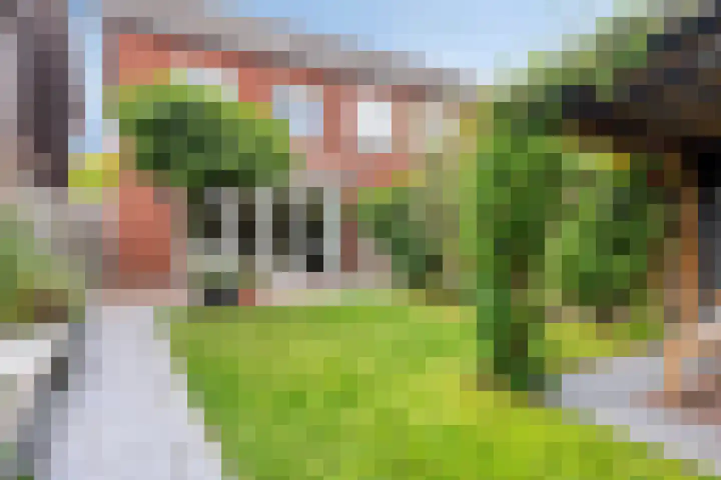 Galiciëstraat 11 Lent thumbnail 26