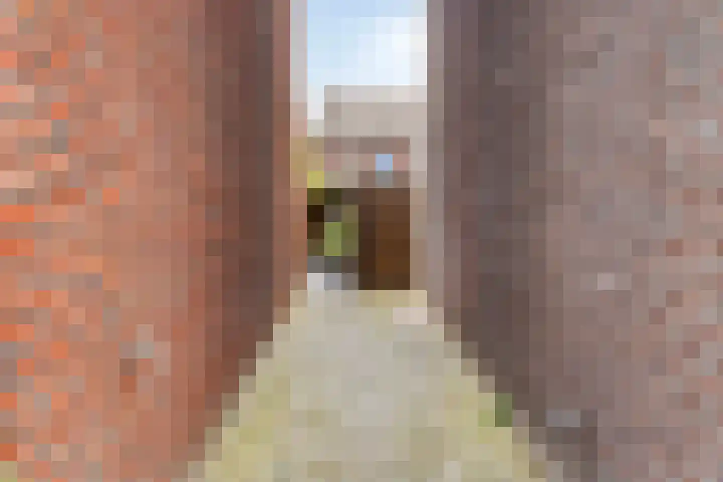 Galiciëstraat 11 Lent thumbnail 29