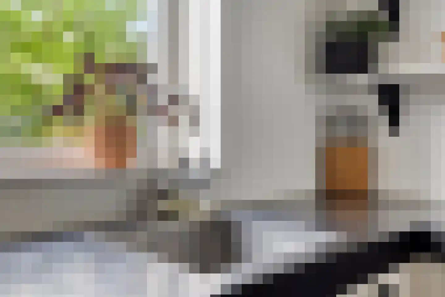 Galiciëstraat 11 Lent thumbnail 7