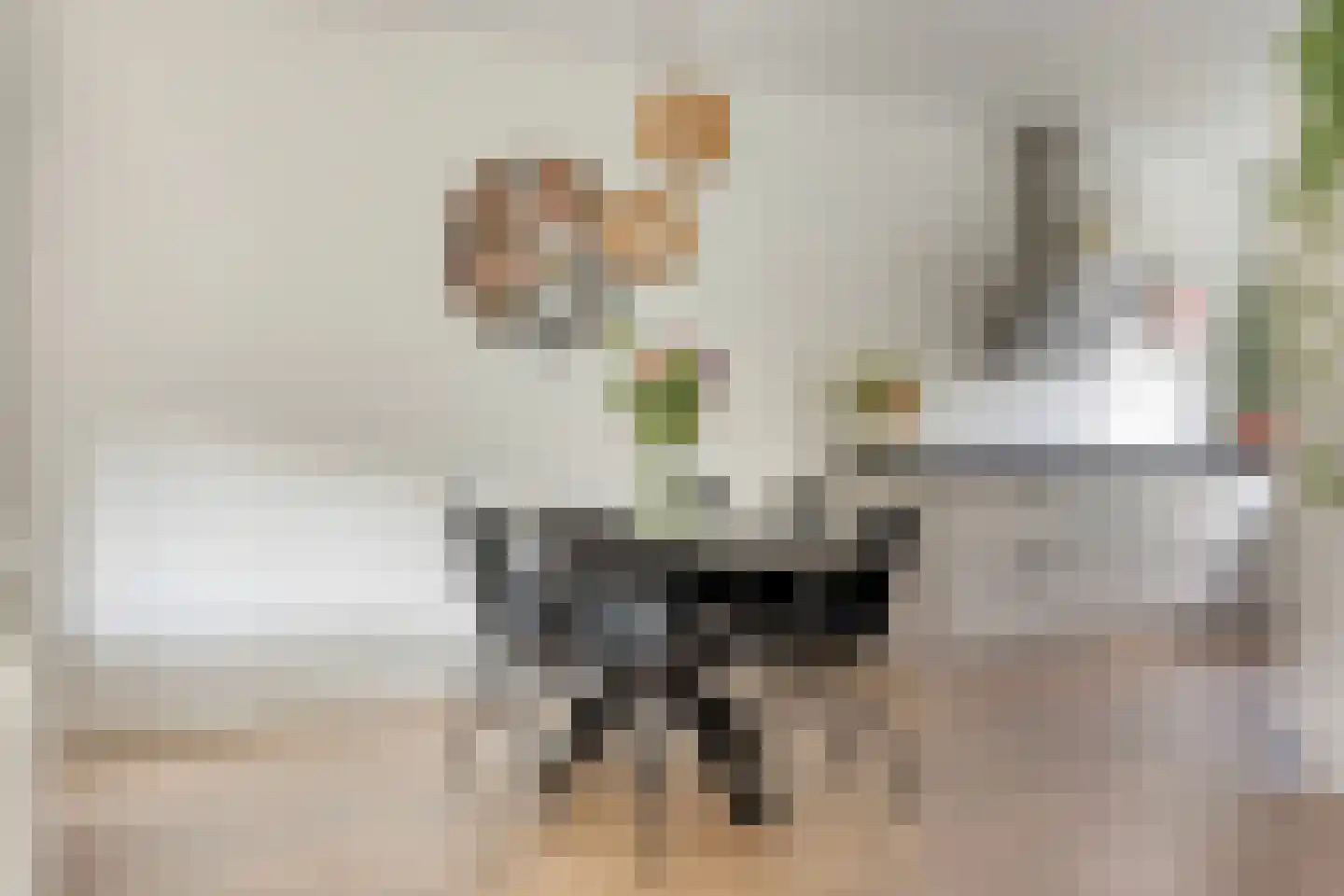 Galiciëstraat 11 Lent thumbnail 9