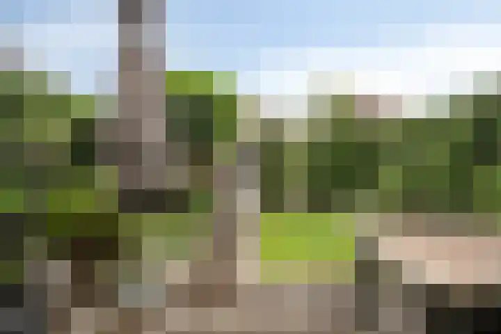 Galigaanstraat 44 Rosmalen thumbnail 30