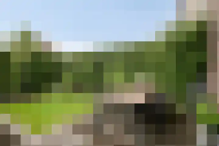 Galigaanstraat 44 Rosmalen thumbnail 31