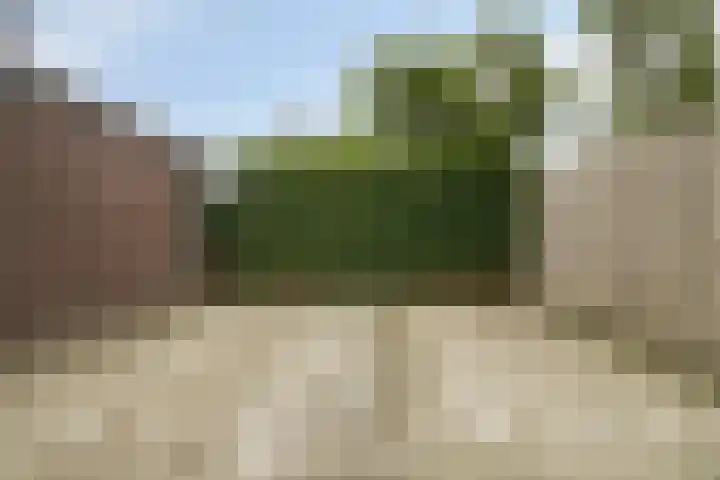 Galigaanstraat 44 Rosmalen thumbnail 34