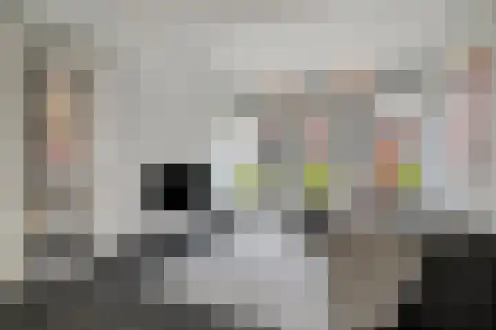 Galigaanstraat 44 Rosmalen thumbnail 8
