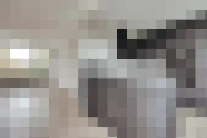 Galileilaan 40 Spijkenisse thumbnail 11