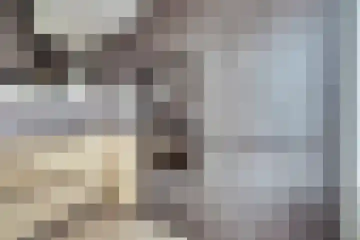 Galileilaan 40 Spijkenisse thumbnail 12