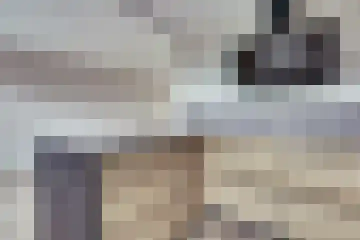 Galileilaan 40 Spijkenisse thumbnail 13