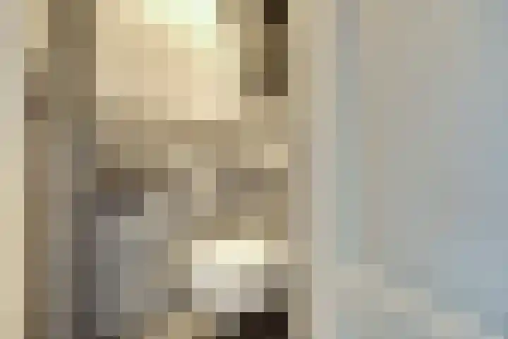 Galileilaan 40 Spijkenisse thumbnail 15