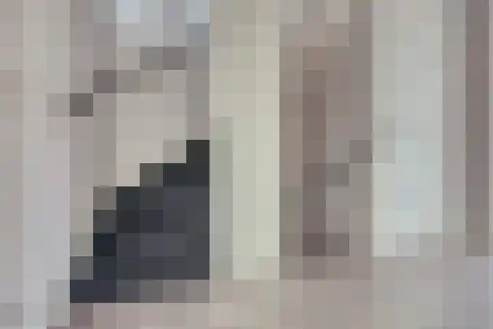 Galileilaan 40 Spijkenisse thumbnail 16