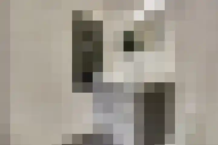 Galileilaan 40 Spijkenisse thumbnail 23