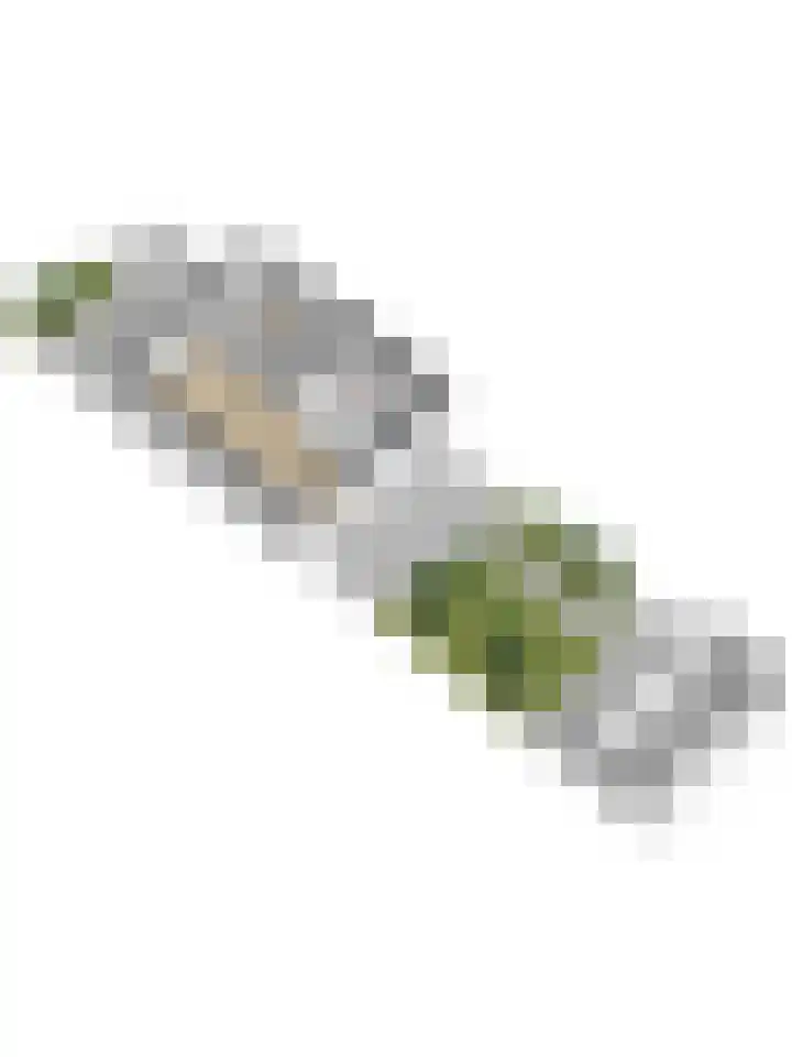 Galileilaan 40 Spijkenisse thumbnail 32