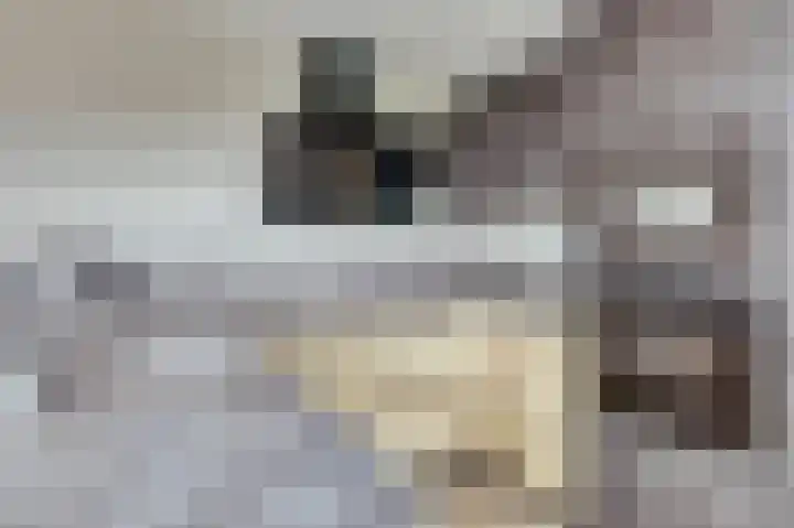 Galileilaan 40 Spijkenisse thumbnail 4