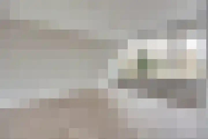 Galileilaan 40 Spijkenisse thumbnail 6