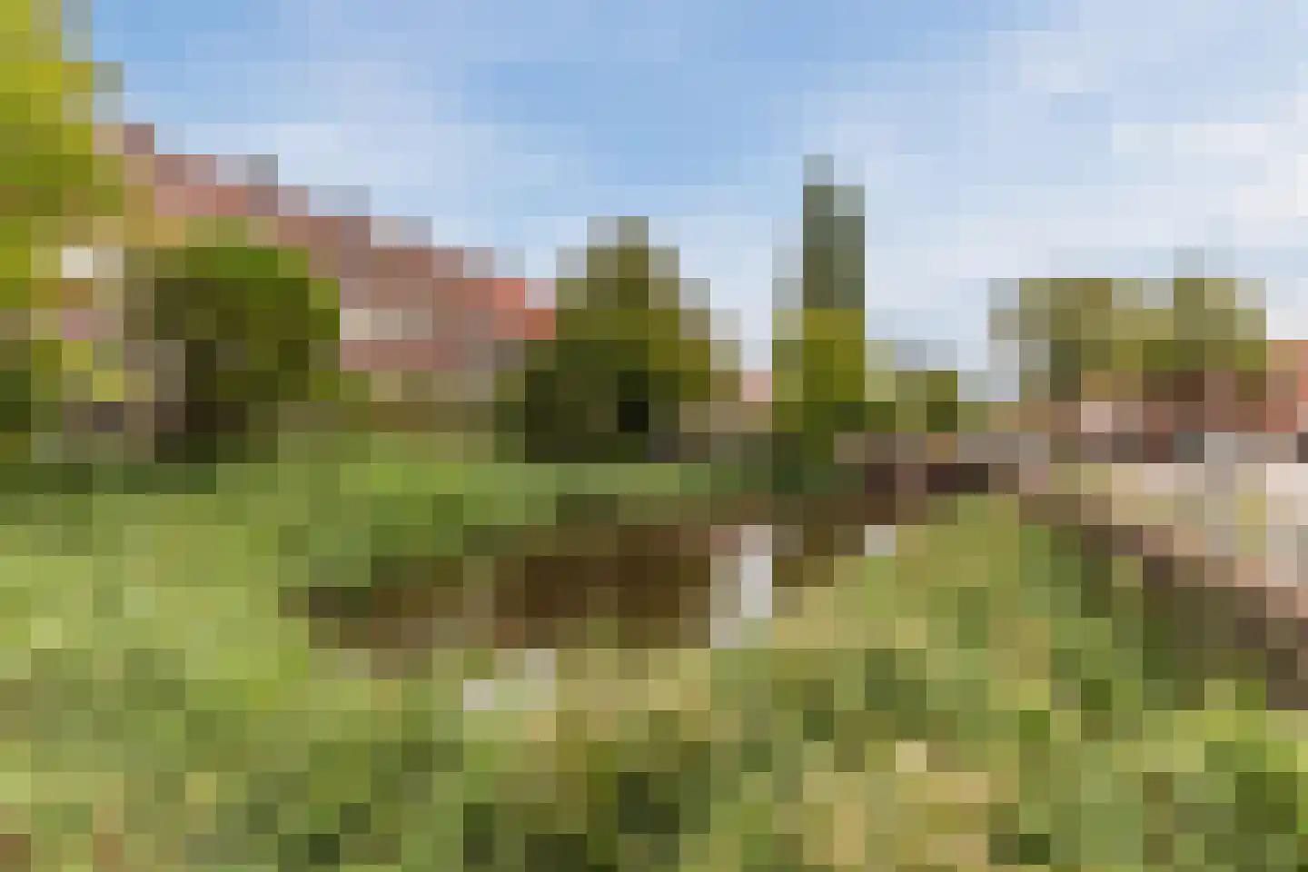 Galileïplantsoen 113 1 Amsterdam thumbnail 49
