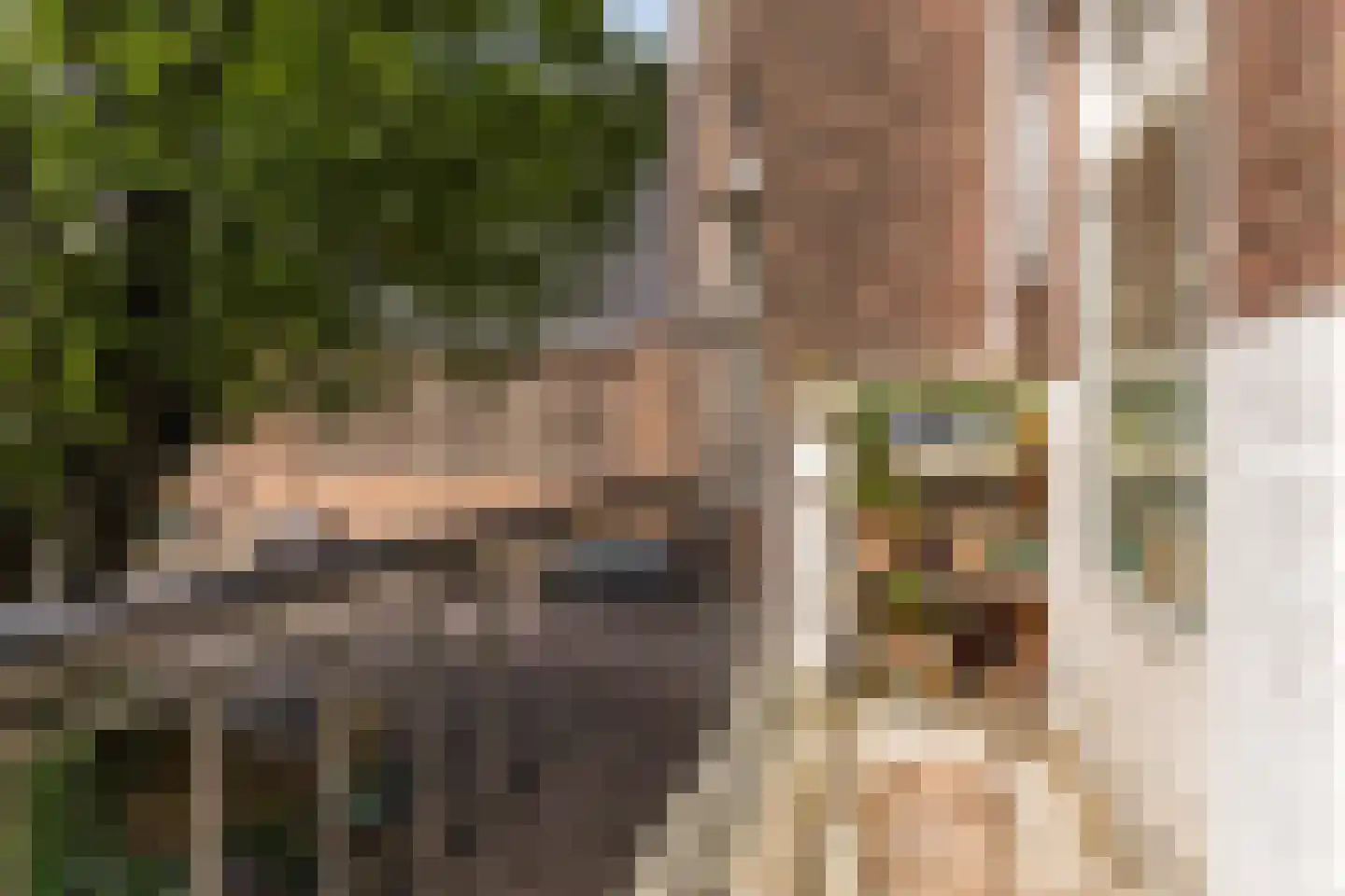 Galileïplantsoen 113 1 Amsterdam thumbnail 9