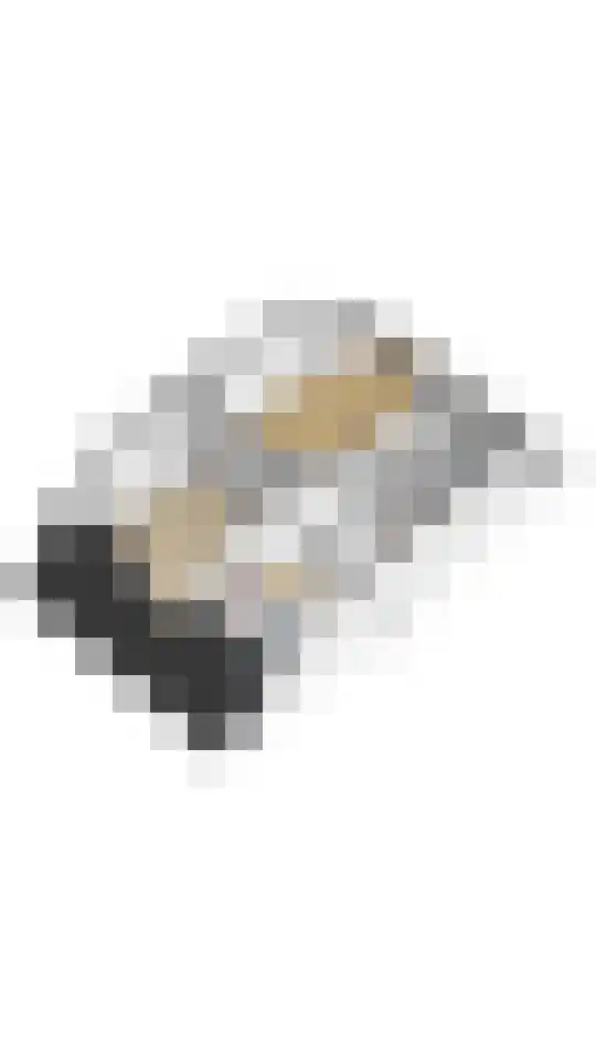 Galileïplantsoen 125 D Amsterdam thumbnail 30