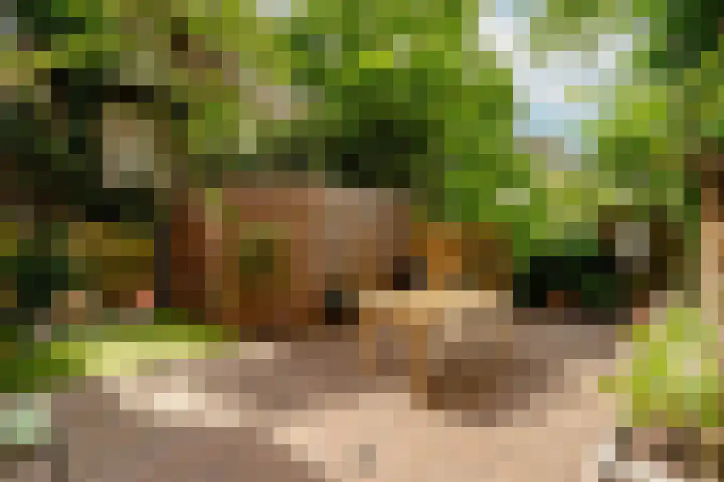 Galileïplantsoen 23 H Amsterdam thumbnail 14