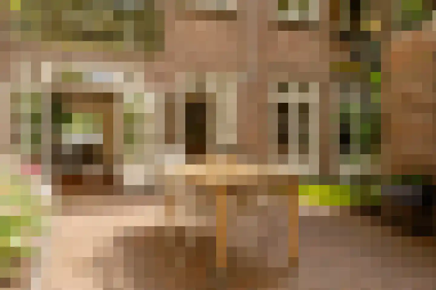 Galileïplantsoen 23 H Amsterdam thumbnail 16