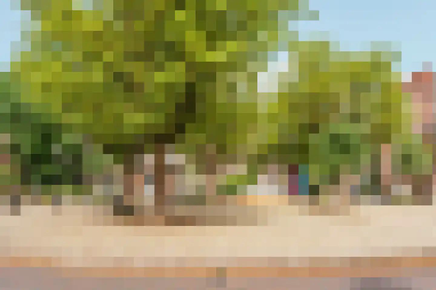 Galileïplantsoen 23 H Amsterdam thumbnail 41