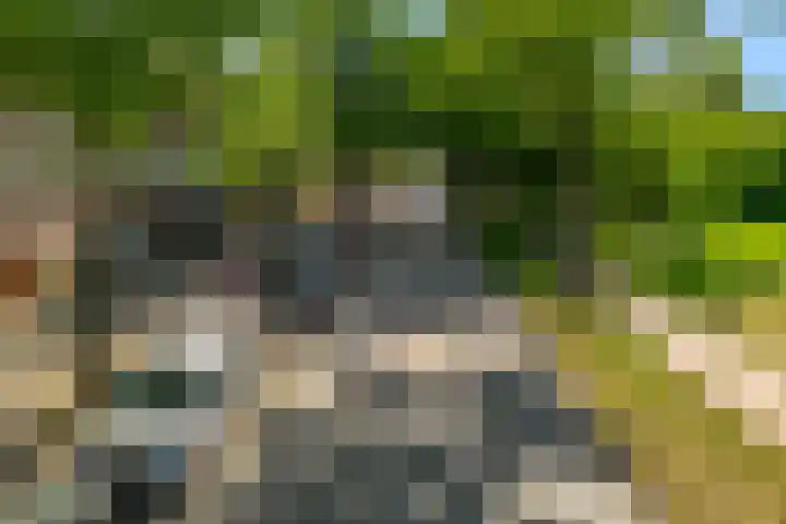Galileïplantsoen 32 Amsterdam thumbnail 41
