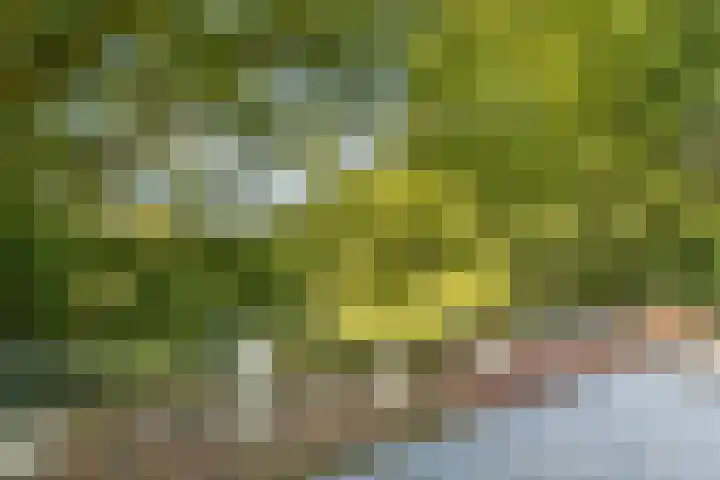Galileïplantsoen 36 Amsterdam thumbnail 37