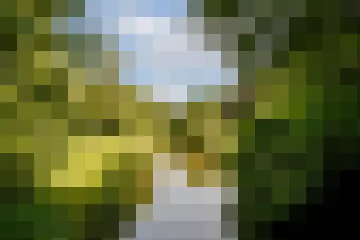 Galileïplantsoen 81 Amsterdam thumbnail 33