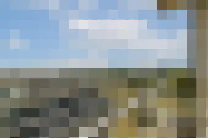 Galileistate 139 Zandvoort thumbnail 15