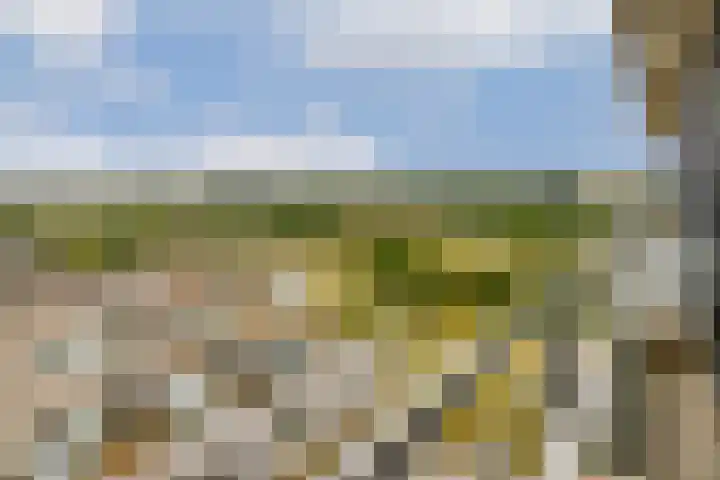 Galileistate 149 Zandvoort thumbnail 15