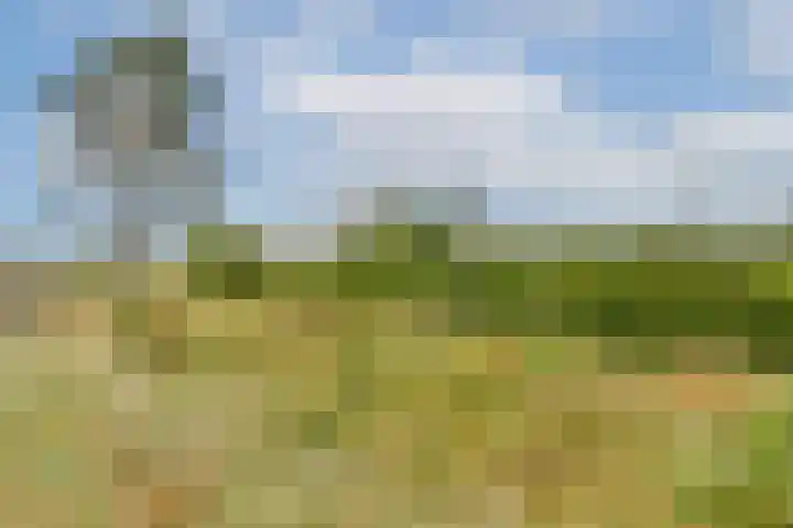 Galileistate 149 Zandvoort thumbnail 24
