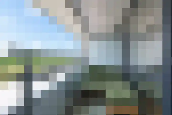 Galileistate 165 Zandvoort thumbnail 17