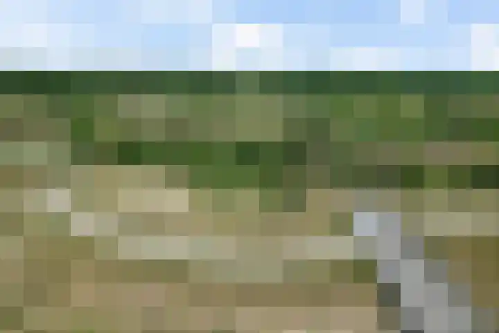 Galileistate 165 Zandvoort thumbnail 20