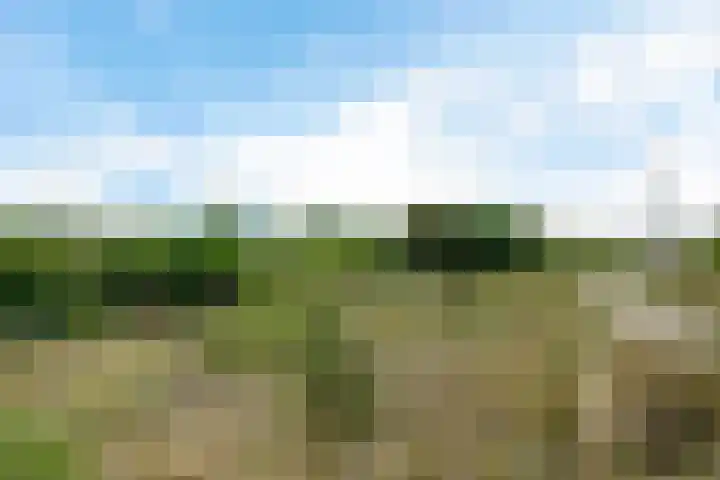 Galileistate 165 Zandvoort thumbnail 36