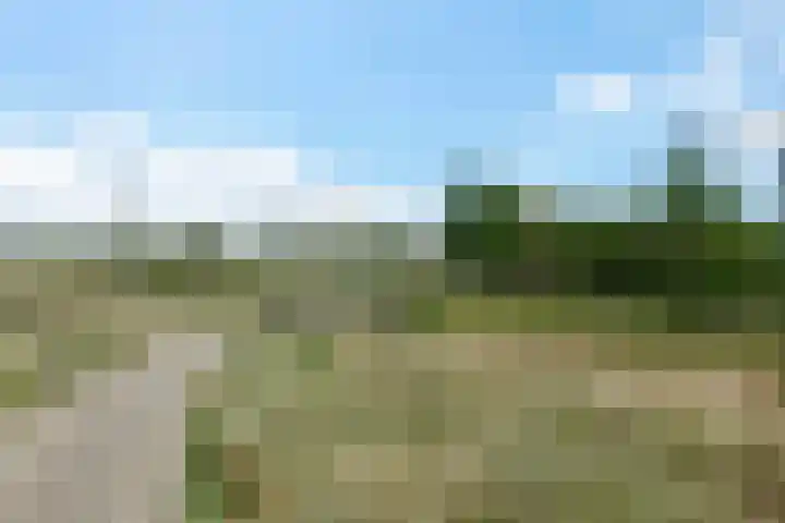 Galileistate 165 Zandvoort thumbnail 37