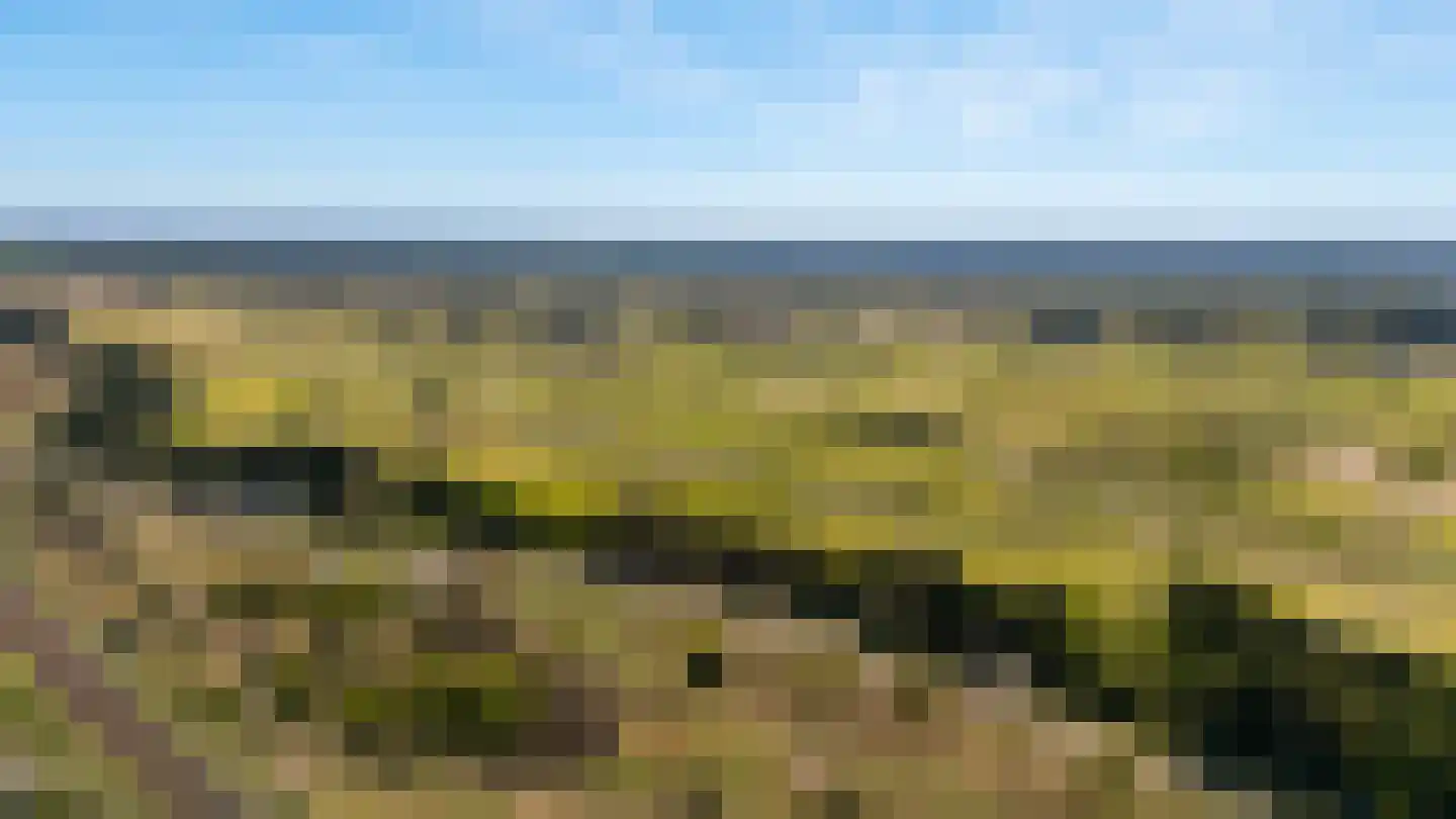 Galileistate 185 Zandvoort thumbnail 15