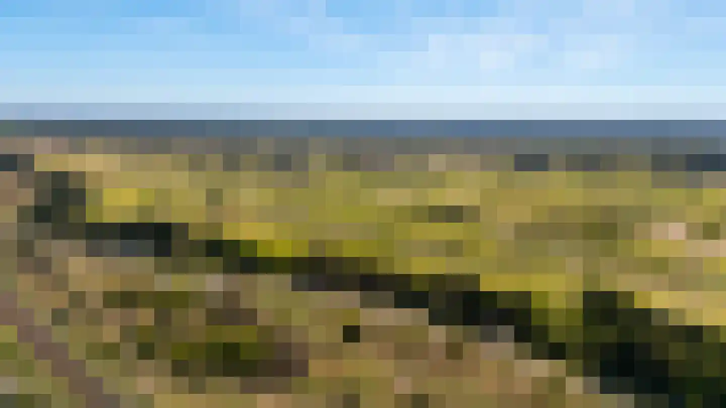 Galileistate 185 Zandvoort thumbnail 15