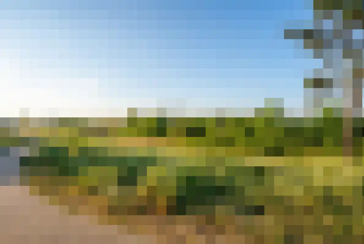 Galileistate 185 Zandvoort thumbnail 35