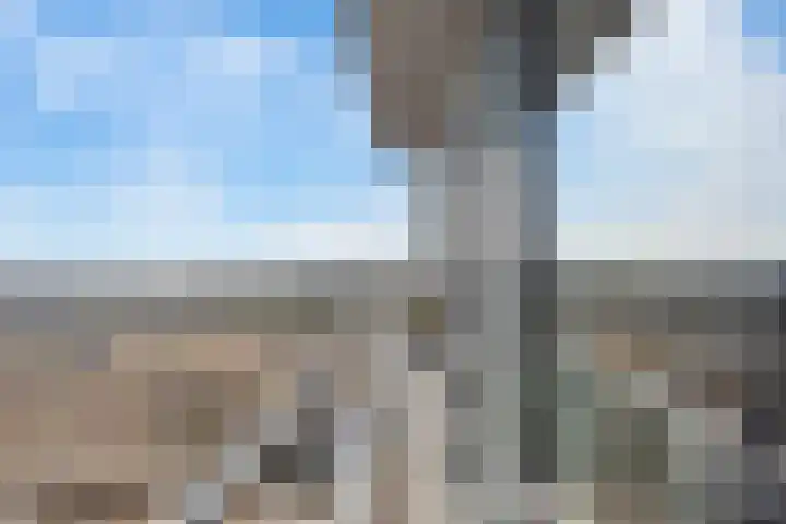 Galileistate 187 Zandvoort thumbnail 28