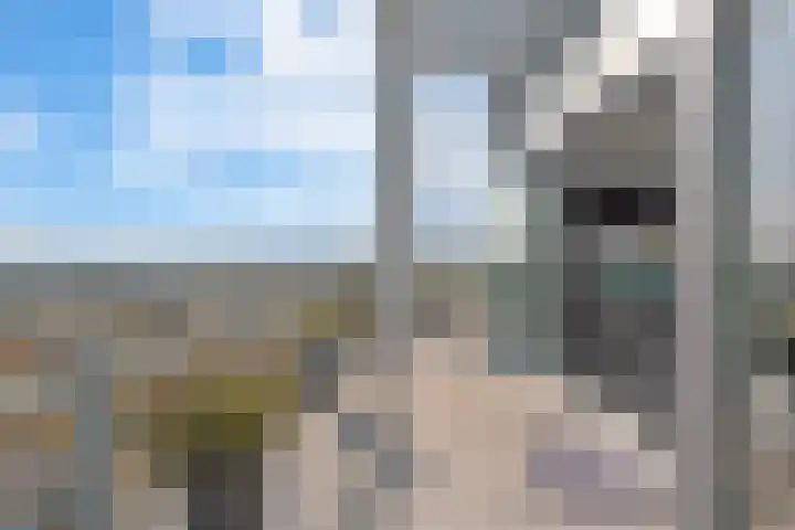 Galileistate 187 Zandvoort thumbnail 7