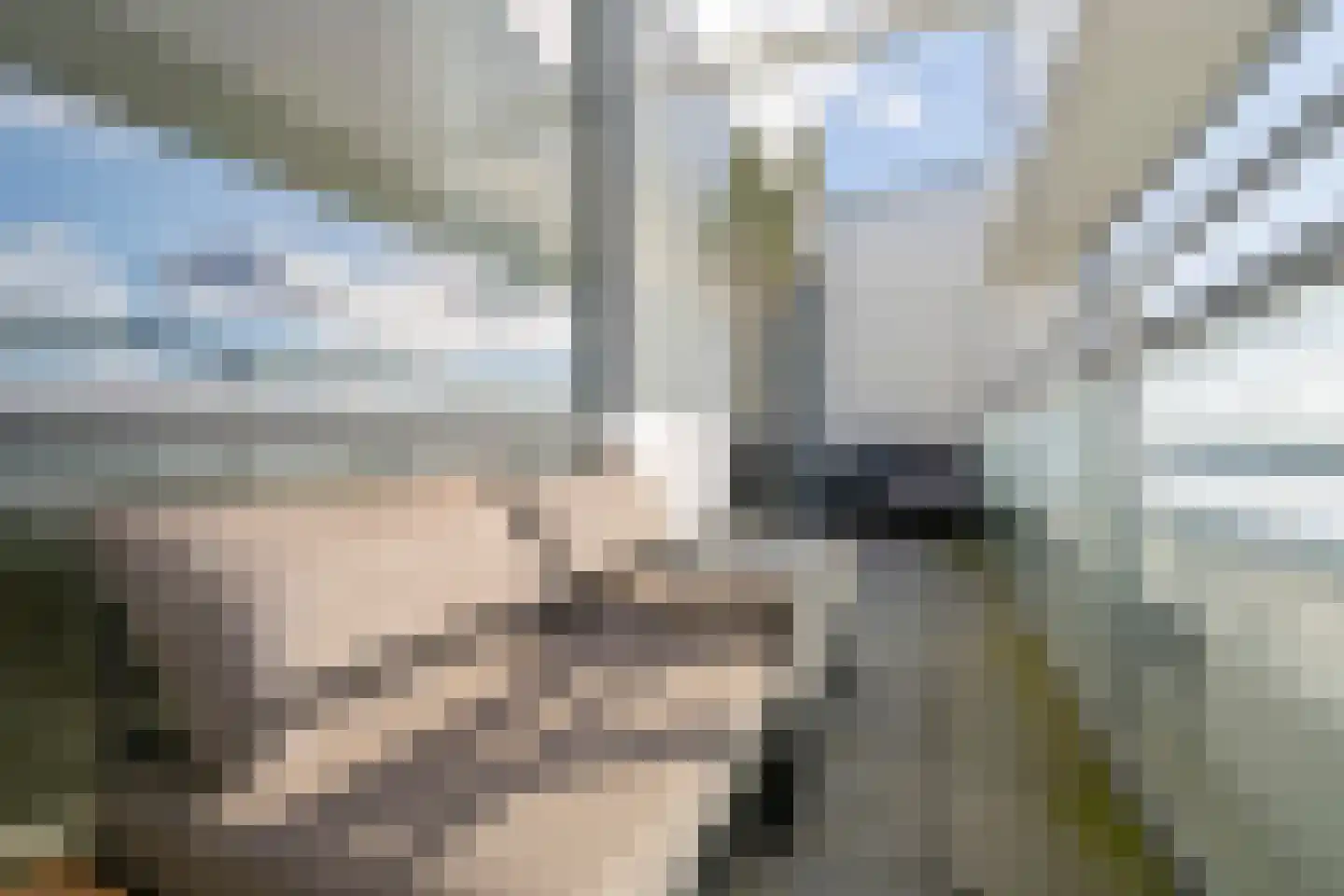 Galileistate 201 Zandvoort thumbnail 19