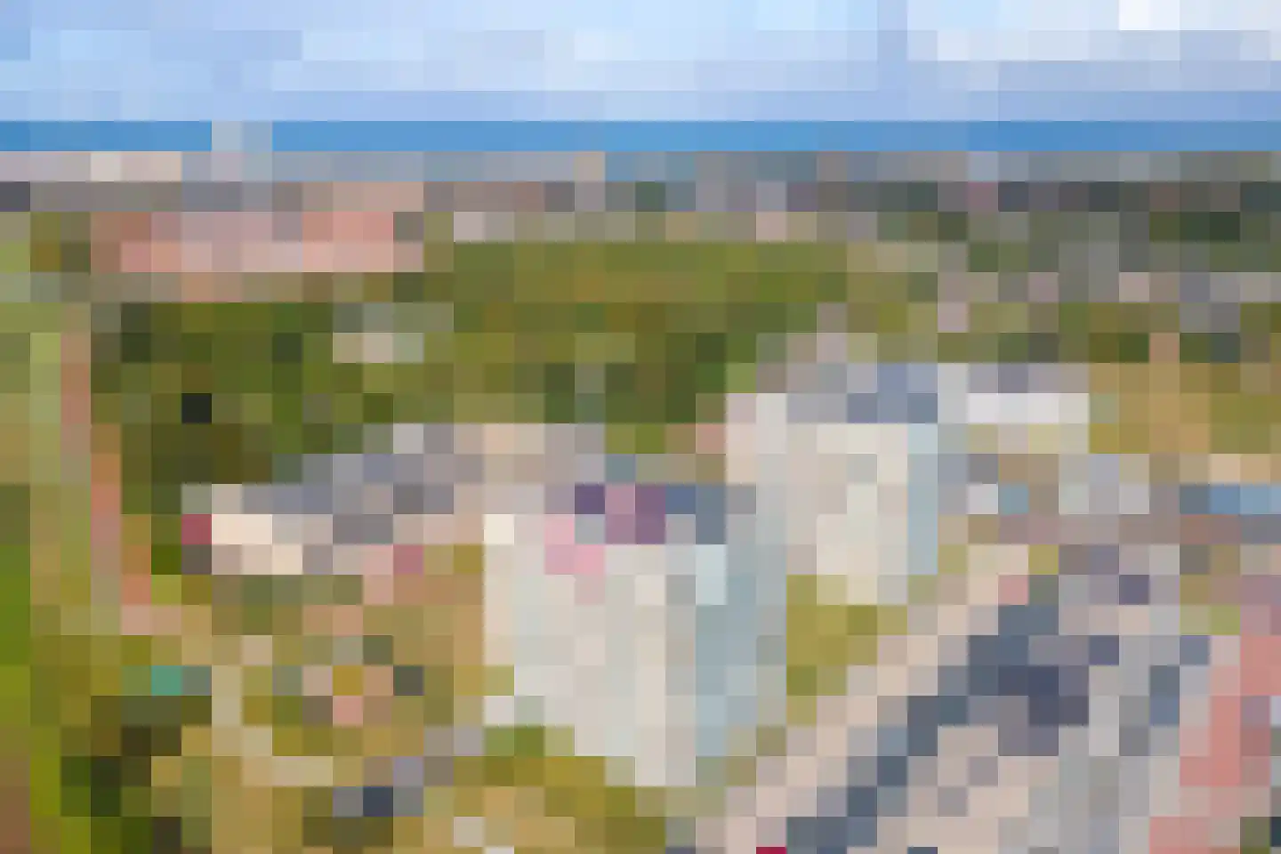 Galileistate 201 Zandvoort thumbnail 44