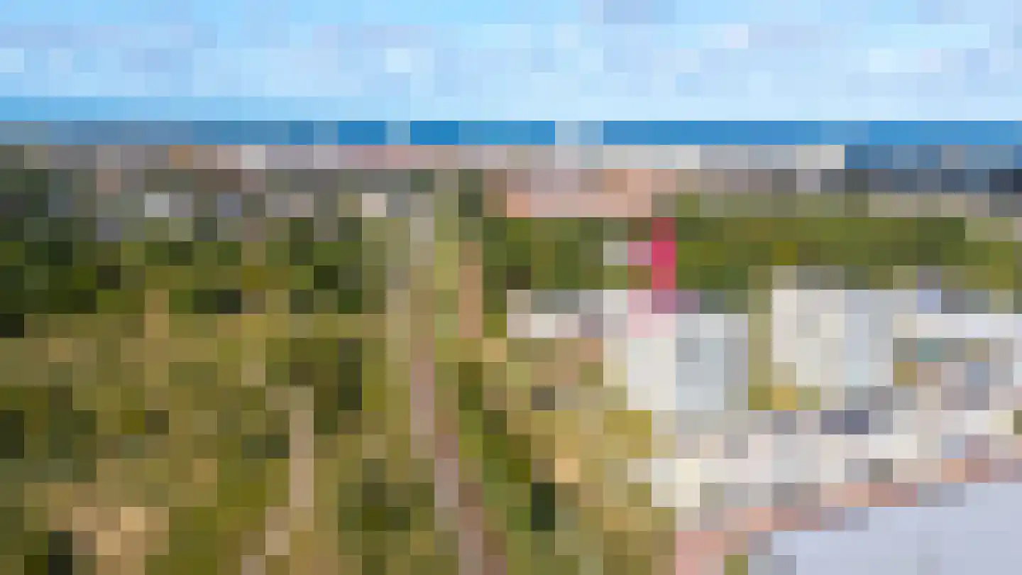 Galileistate 201 Zandvoort thumbnail 45