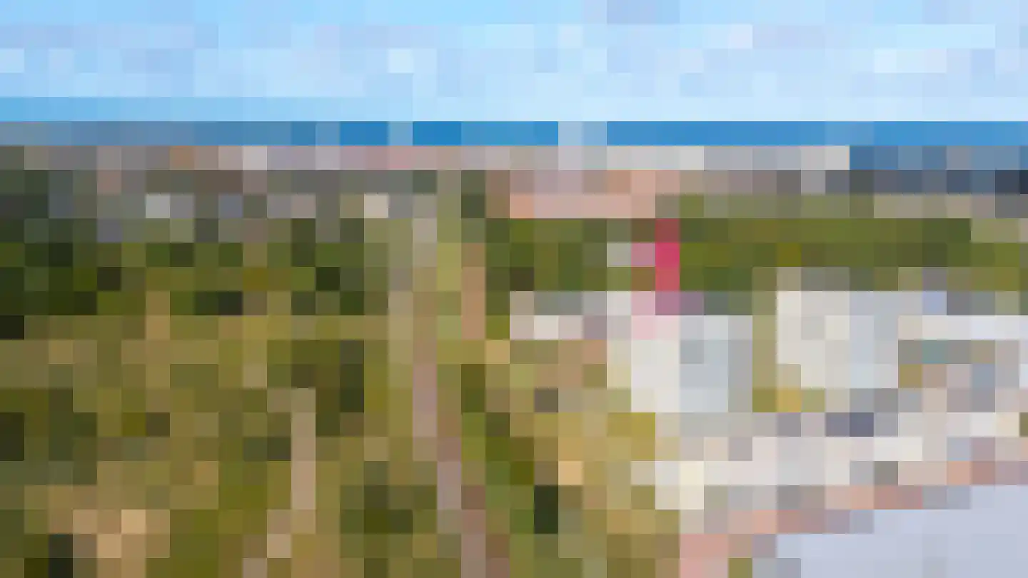 Galileistate 201 Zandvoort thumbnail 46
