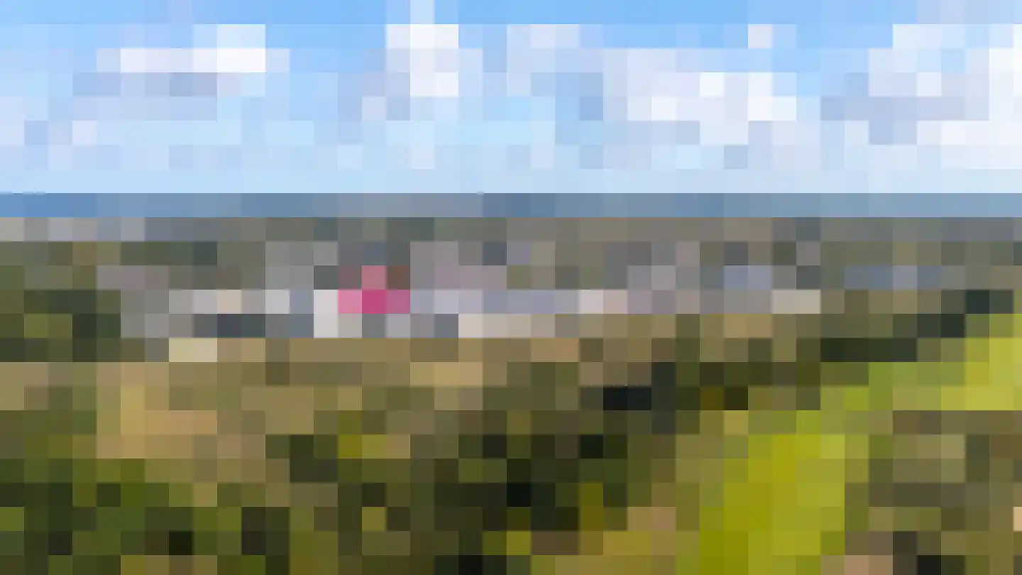 Galileistate 201 Zandvoort thumbnail 48