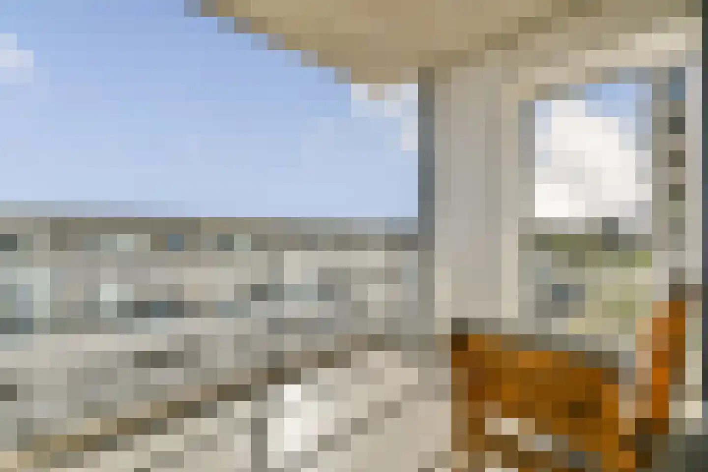 Galileistate 25 Zandvoort thumbnail 14