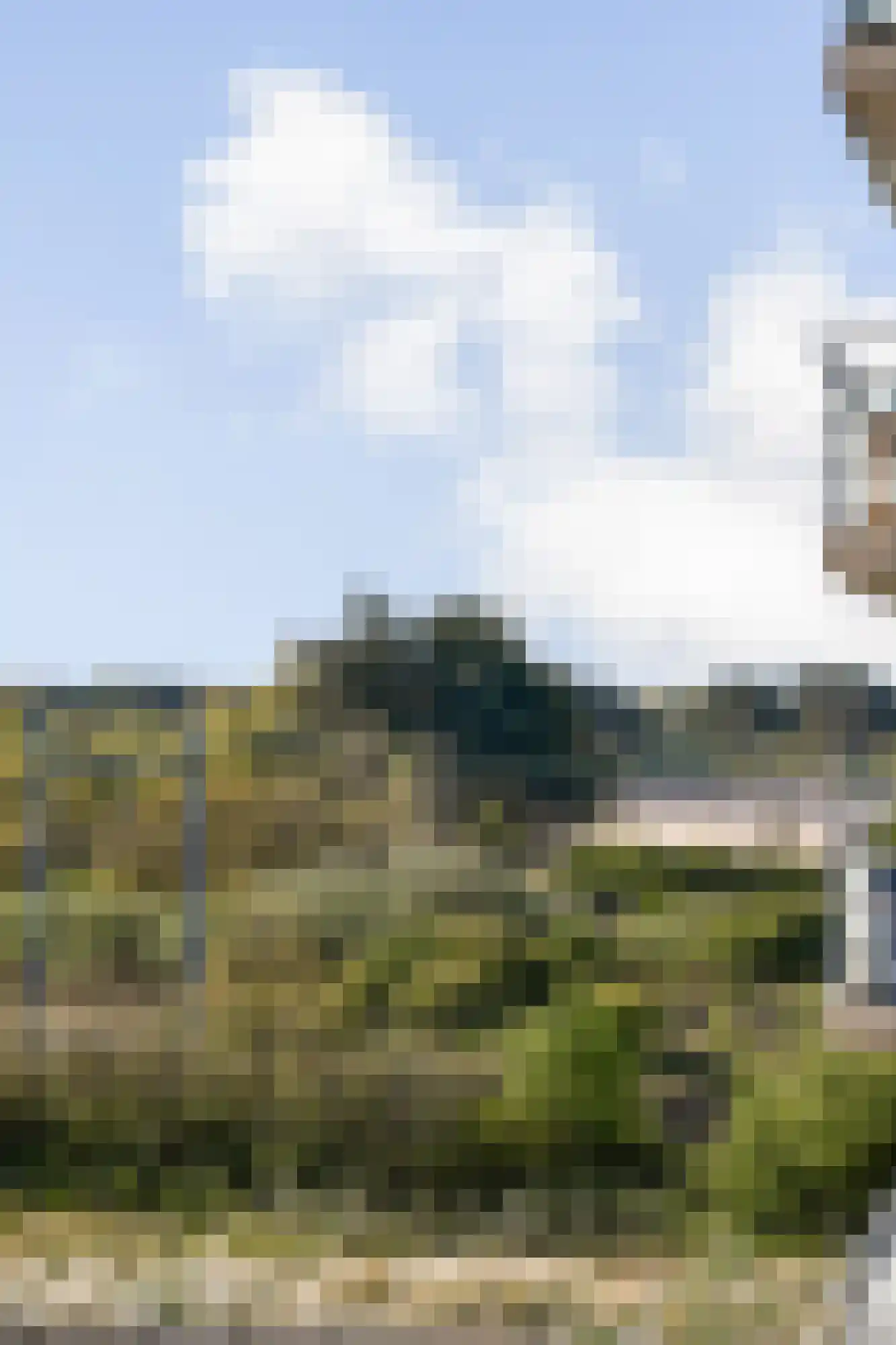 Galileistate 25 Zandvoort thumbnail 15